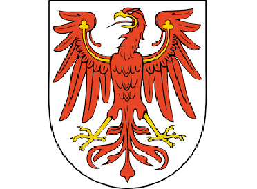 Zu den Dienstgradabzeichen  Brandenburg